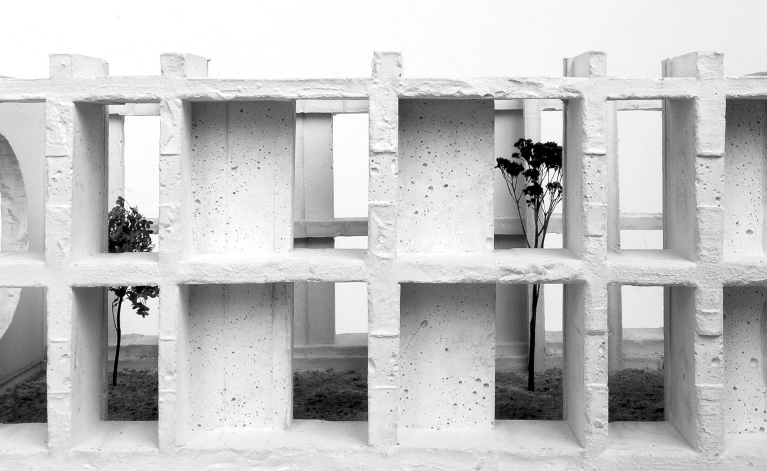 a place to grow I14